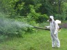 Противоклещевая обработка Лотошино фирма обработать от комаров
